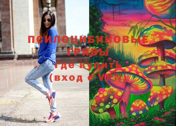 метамфетамин Заводоуковск