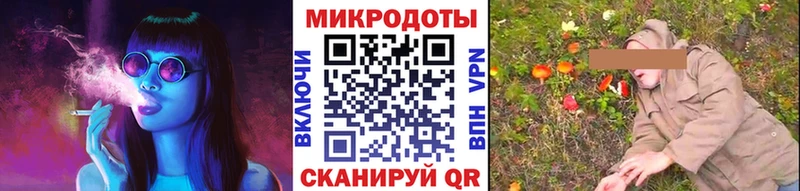 Галлюциногенные грибы Psilocybine cubensis Нальчик