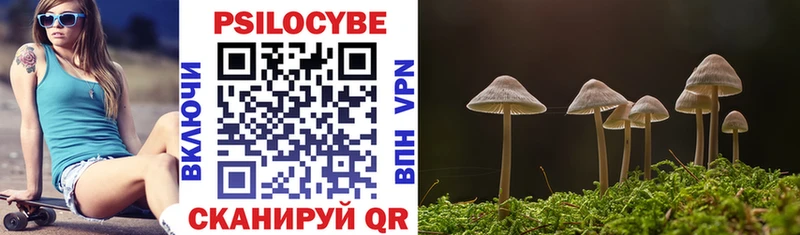 Галлюциногенные грибы Psilocybine cubensis  Купить закладки  Нальчик 