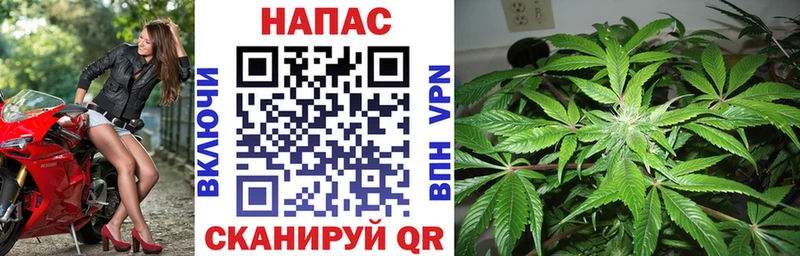 Конопля тримм  Купить где  Нальчик 